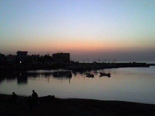 080105_1650~0002.jpg