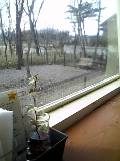 お疲れ様でした＾＾