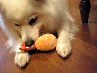 フライドチキンのカタチのおもちゃ♪