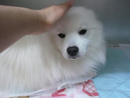 がんばるんだ～