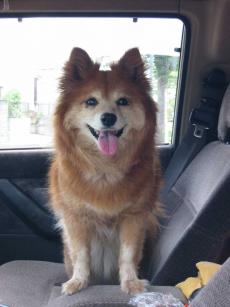 ドライブ大好き♪