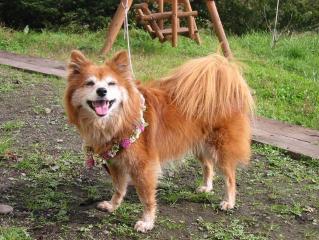 北海道・帯広にて