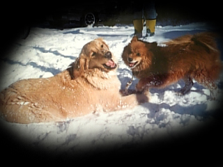 ベティー＆マル