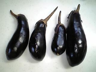 なすなすなすなす♪