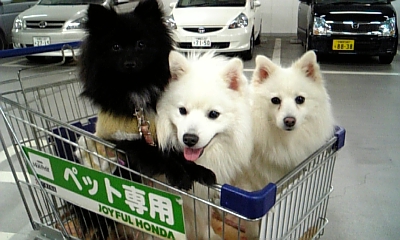 ちょっときゅうきゅう＾＾；