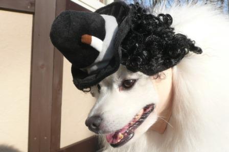 キマってるんだ♪