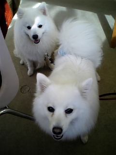 羽衣ママと風ちゃん