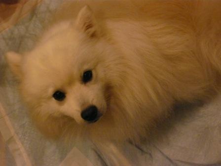 がんばるよ～～