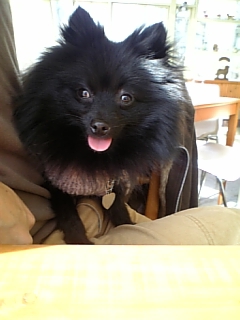 いいお天気でちね♪