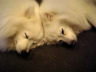 良い夢みてるよねぇ＾＾きっと♪