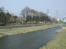 岩手公園１.jpg