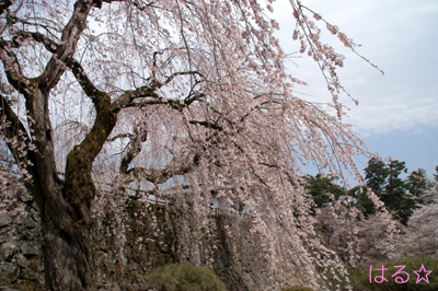 弘前公園