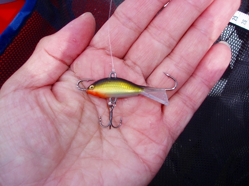 s-20091013akimotoicejig1