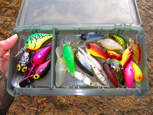 s-20090127tfpk1lure