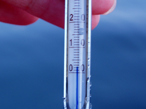 20100223nazo水温2.5℃