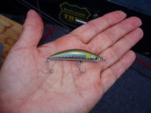 s-20090802akimotoDr.MINNOW