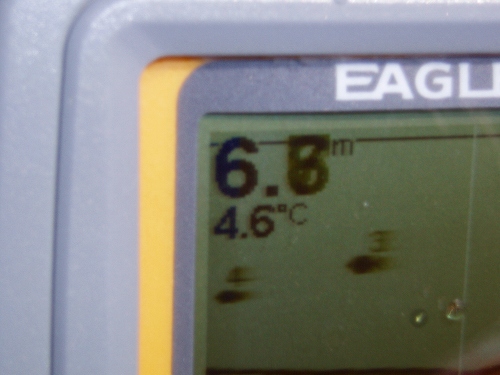 20100322nazo水温4.6℃