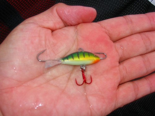 s-20090902akimotoicejig