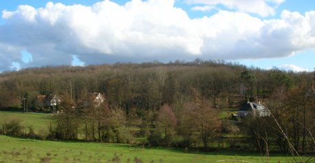 maison dans le bois