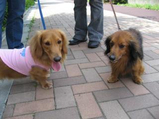 ゆう太くんとMAXくん