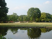 公園