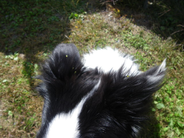 IMGP0355.jpg