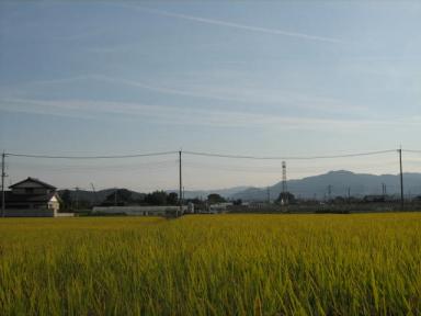 空にも雲の山