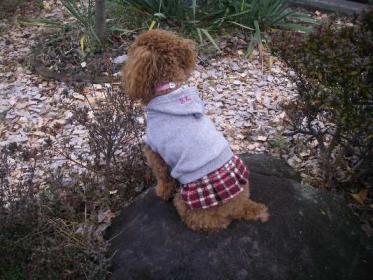 おうちの見張り台1