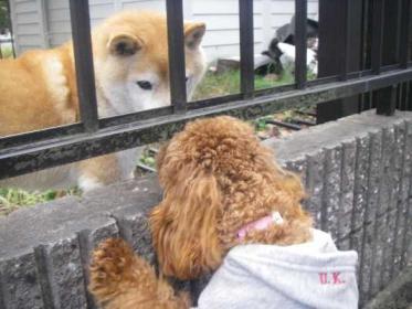 初めまして桃花です。