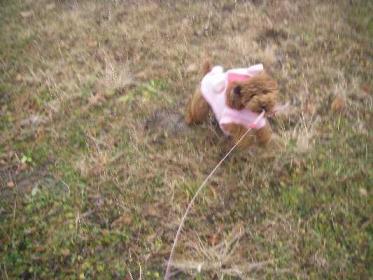 ママ～行くわよ！