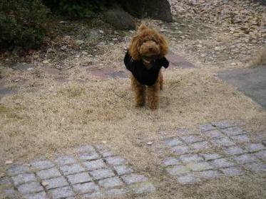 今、桃花って言ったよね？