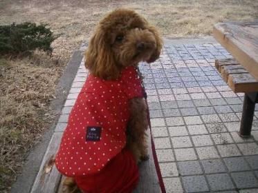 ちょっと疲れた