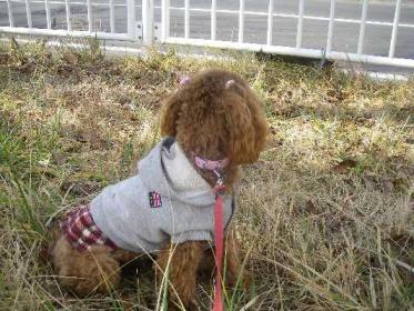 道路を走る車を見つめる2