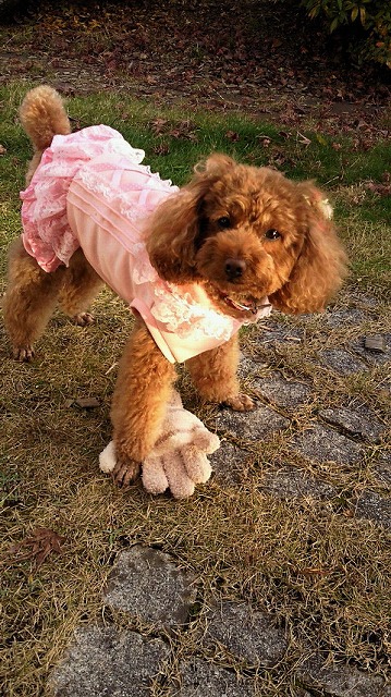 ピンクロンパース1