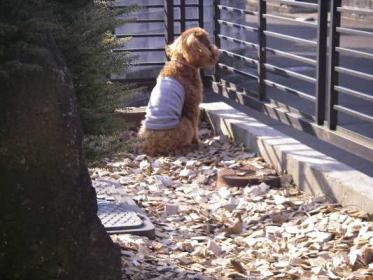 バカボンのパパなのだ4