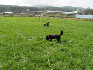 DSC03634.JPG