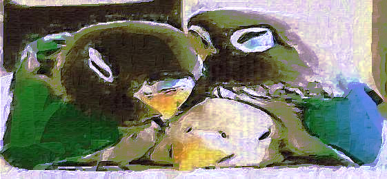 subtitle_mana2.jpg