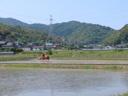 田植えの準備