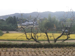 PA200177.JPG
