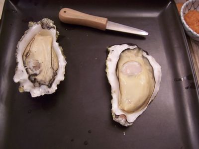 oyster4.jpg