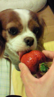 2009-02-25 20:46:33