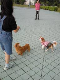 200905241658000.jpg