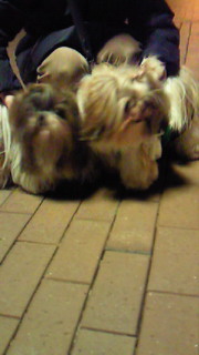 2009-02-10 00:35:39