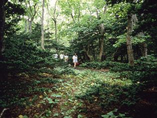 焼尻島　オンコ荘