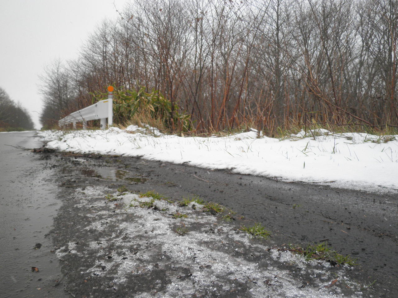 雪のつもった路肩