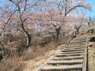 電子メールで送信: 奈良 037