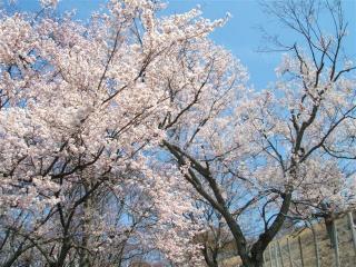 電子メールで送信: 奈良 038