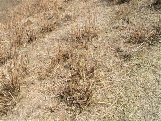 電子メールで送信: 奈良 040