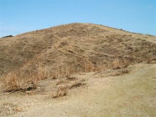 電子メールで送信: 奈良 043