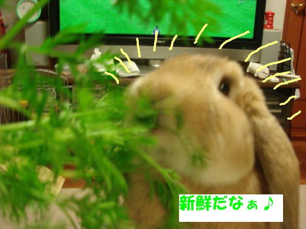 画像 023.jpg